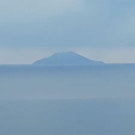 Simo